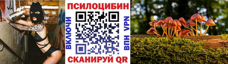 цены   Ардон  Галлюциногенные грибы Magic Shrooms 